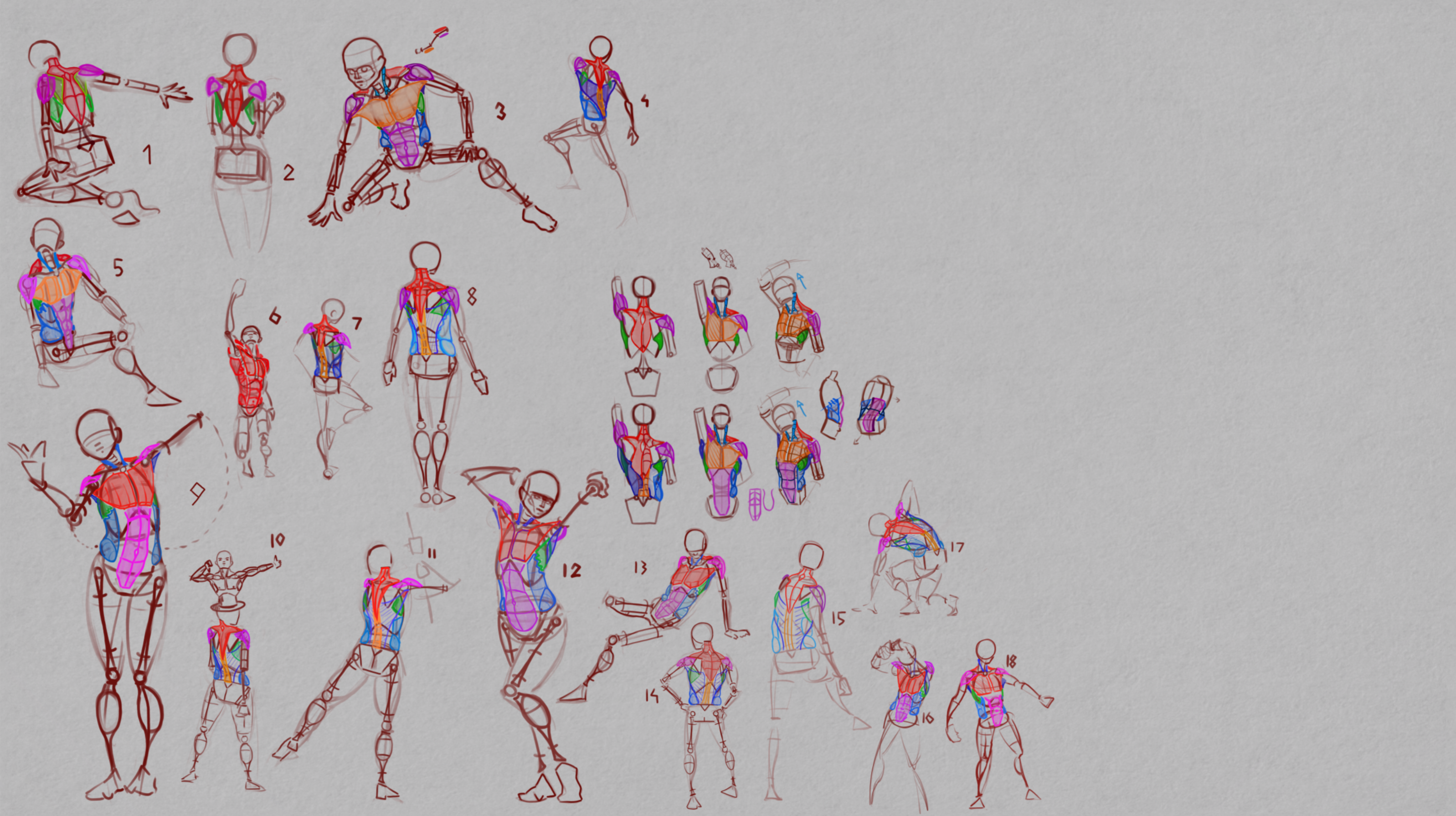 Analytical Figure Drawing Course 4