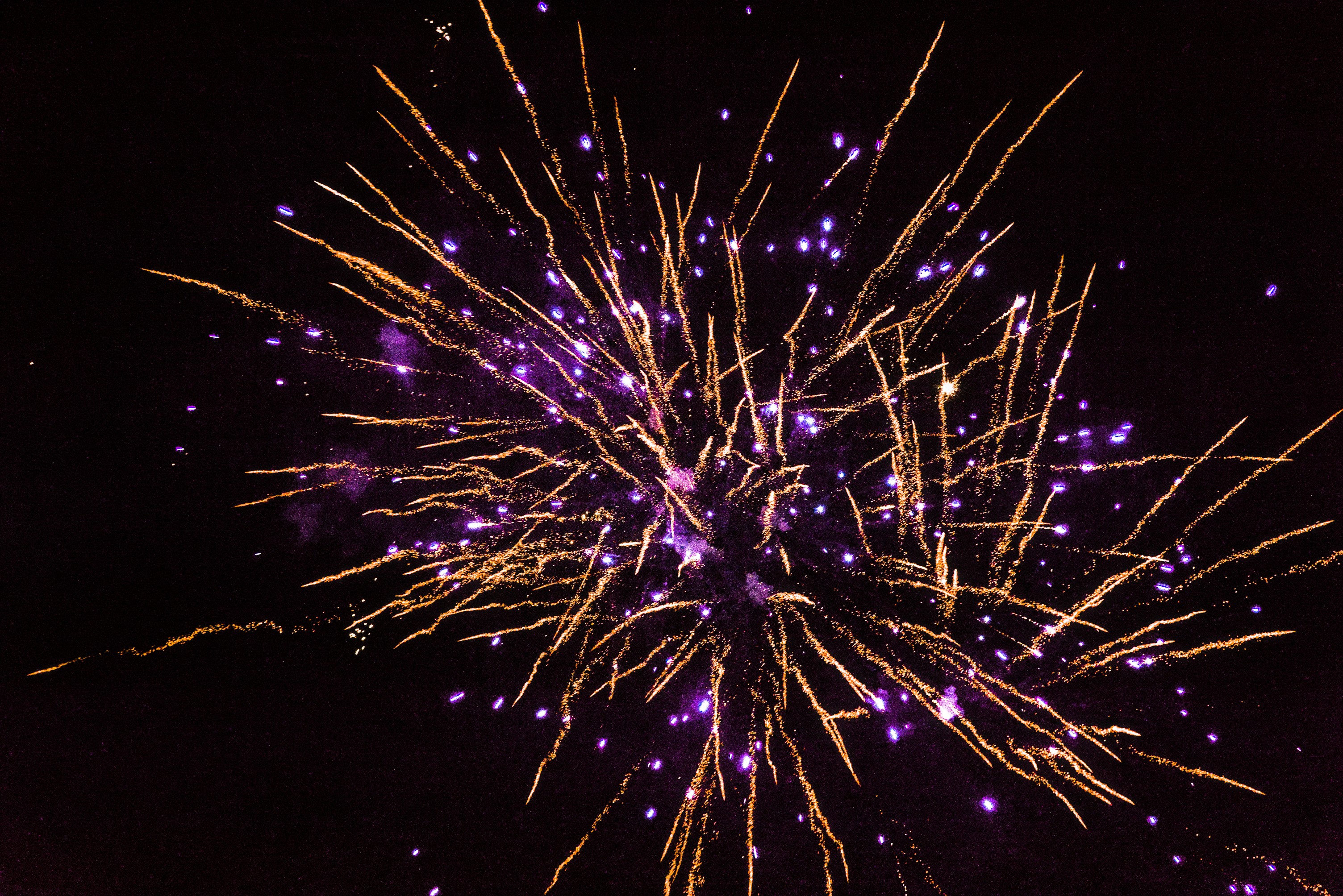 Firework